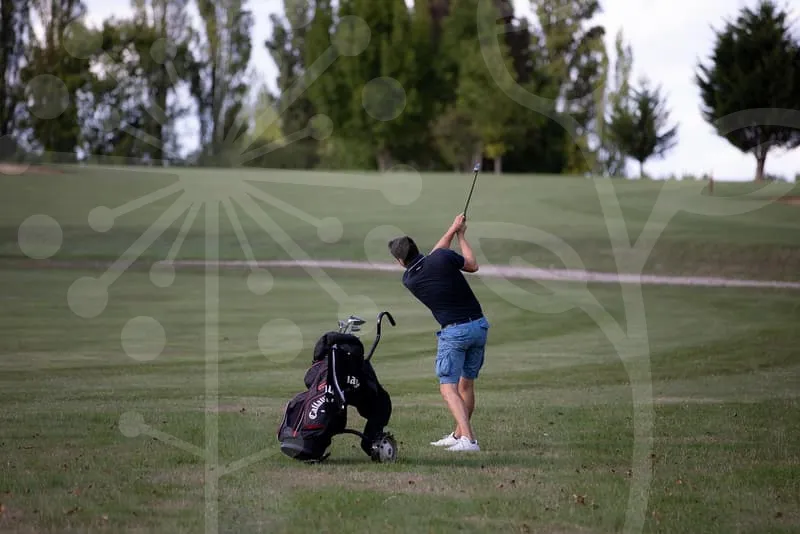 일본파크골프채