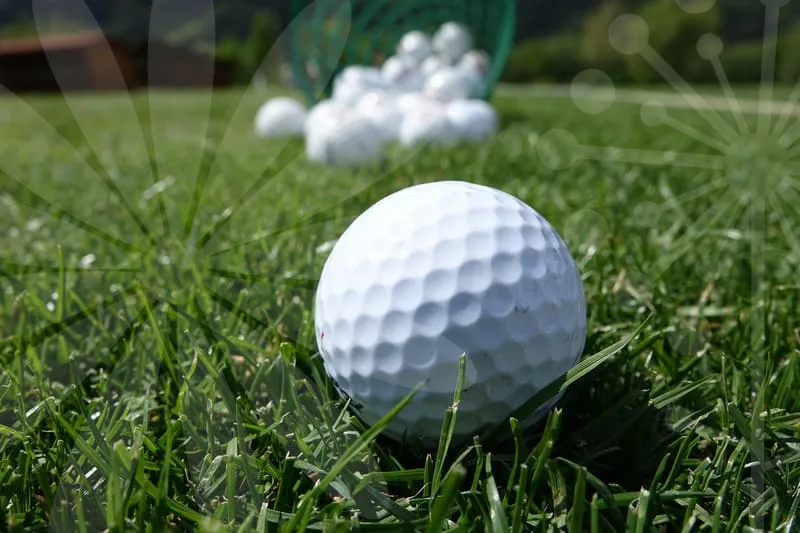 골프용어