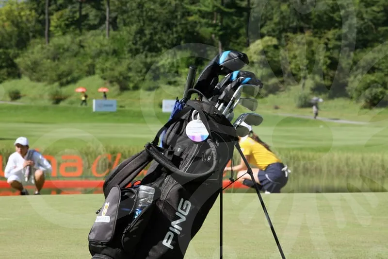 파크골프채국산