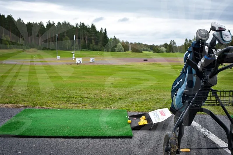 파크골프채국산