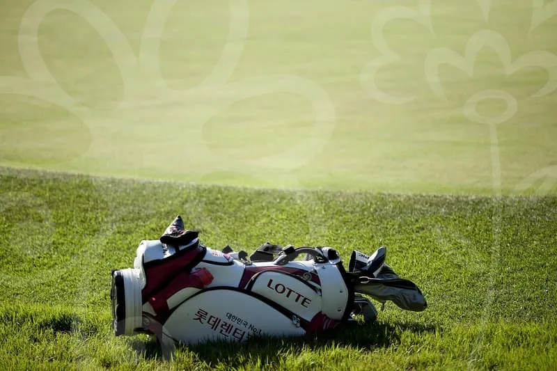 파크골프치는법