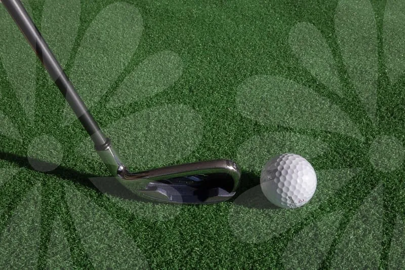 파크골프채가방