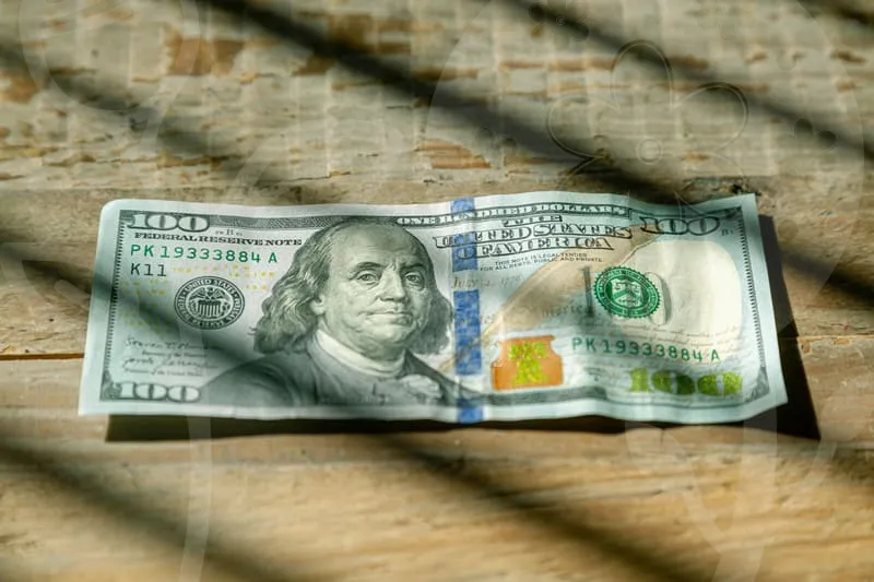 에스트로겐영양제