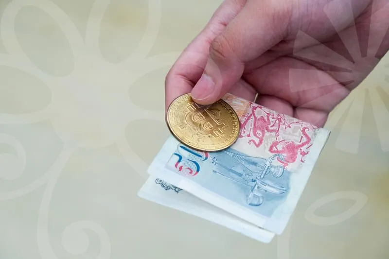 유아교육학과