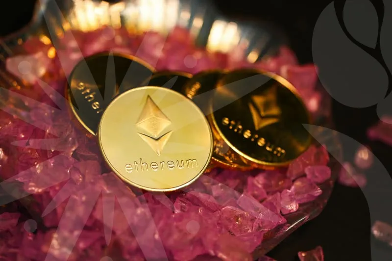 캐릭터일러스트