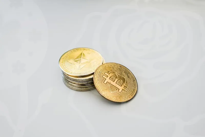 컨테이너박스
