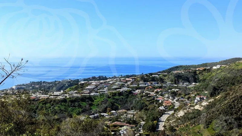 유튜브세무사