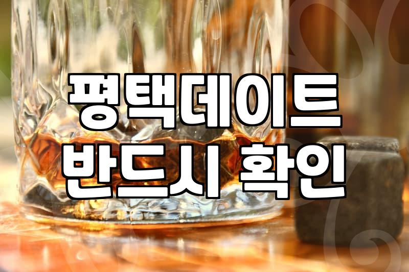 주말에 그냥 평택 근처를 서성이다가