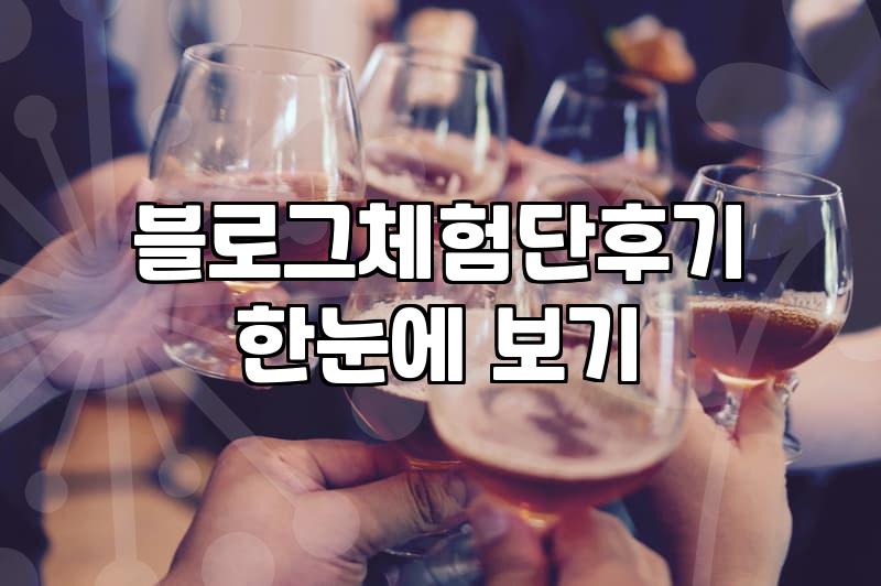 다이어트 보조제 체험단인가 싶어서 신청했다가 묘한 기분만 남았다