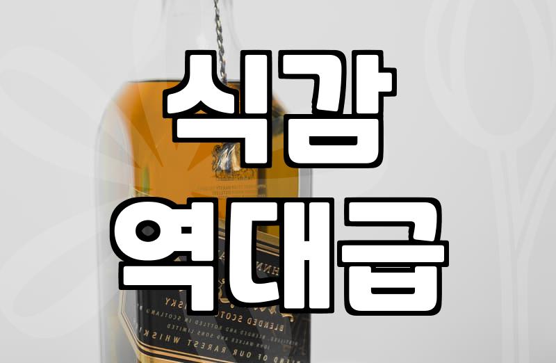 실패 없는 고양시족발 선택을 위한 기준과 판단의 기술
