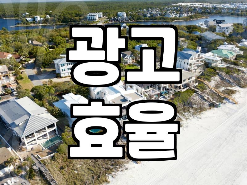 인스타그램 광고 대행, 돈 쓰고 후회하기 전에 알아야 할 현실적인 이야기