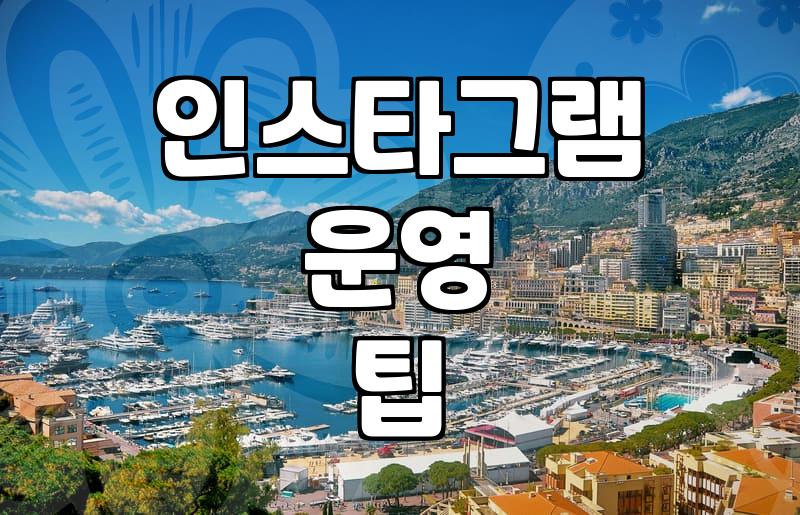 인스타그램 채널을 운영하며 매일 고민하게 되는 실전 포인트들