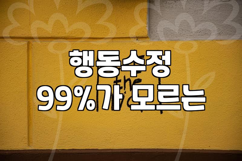 특수교육학과 진학 후 현장에서 마주하게 될 현실적인 고민들