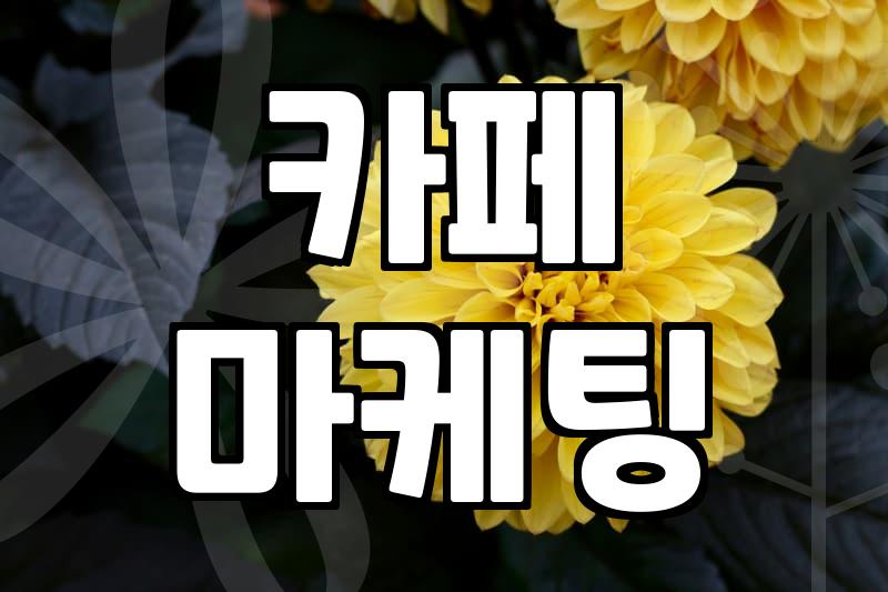 네이버 파워링크, 과연 ‘돈 먹는 하마’인가? 현실적인 광고 집행 후기