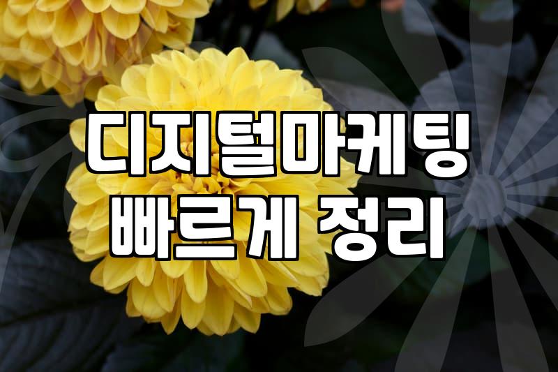 홍보마케팅 비용과 효과를 결정하는 실질적인 기준