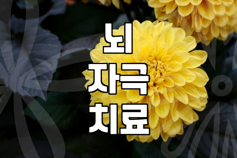 DEEPTMS, 정말 우울증 치료 효과 있을까?