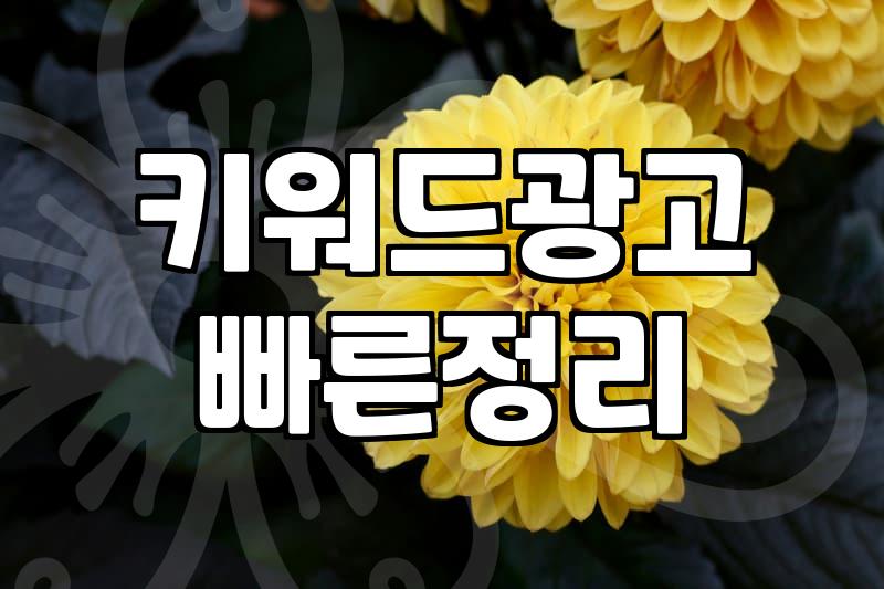 네이버광고, 효과적인 운영을 위한 핵심 전략