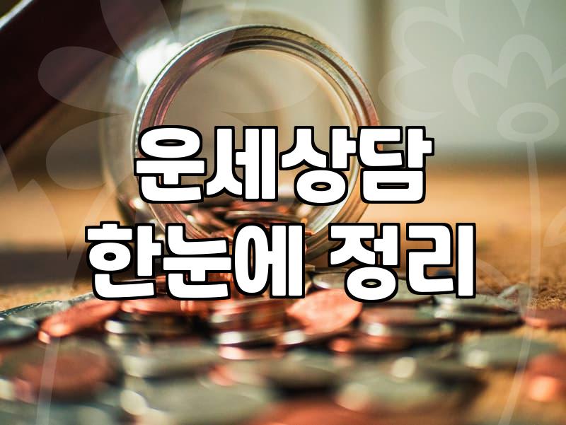 밤늦게 사주풀이 사이트를 기웃거리는 마음