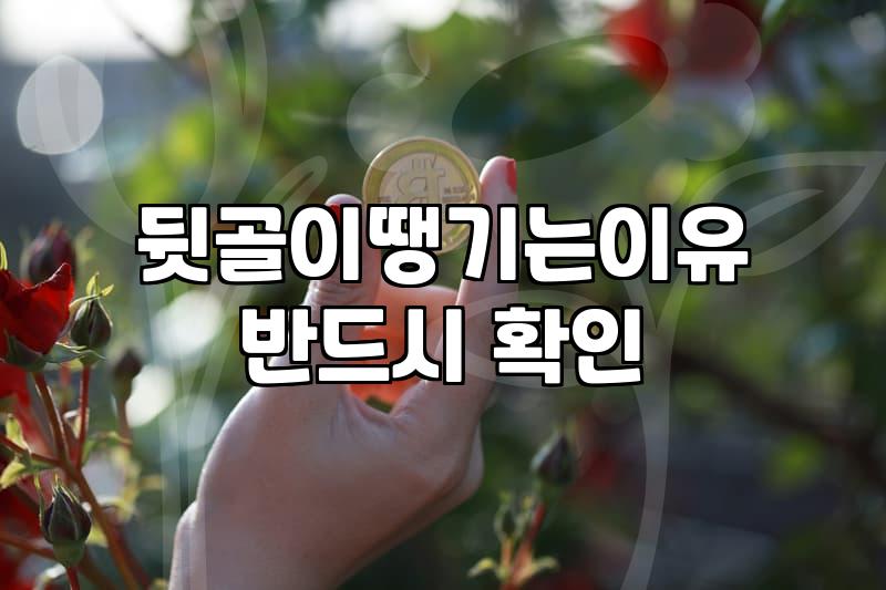 뒷골이 뻐근해서 한의원에 갔다가 엉뚱한 이야기만 하고 왔다