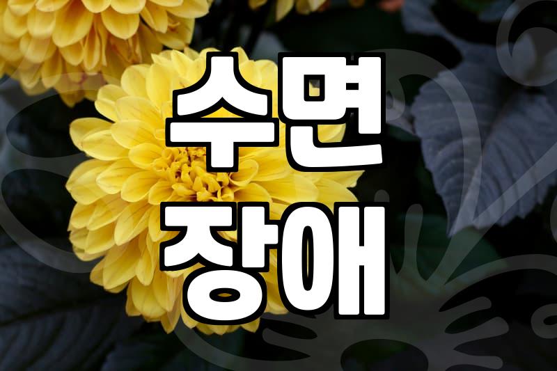 일요일정신과 방문을 고민하는 사람들에게 현실적인 조언