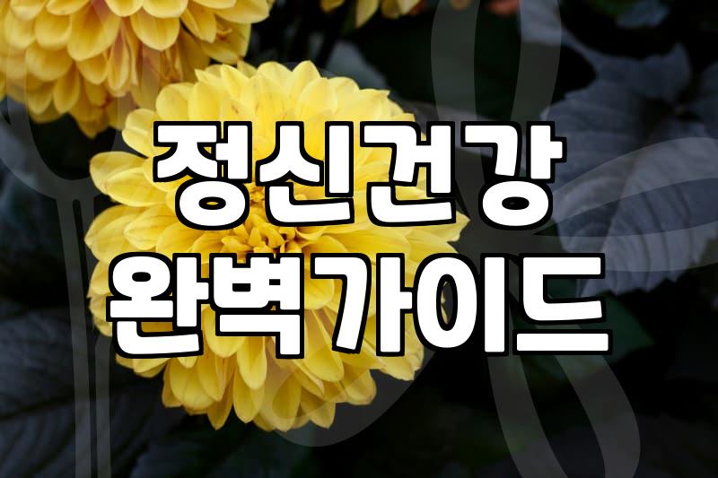 머리가 지끈, 혹시 이것 때문에?