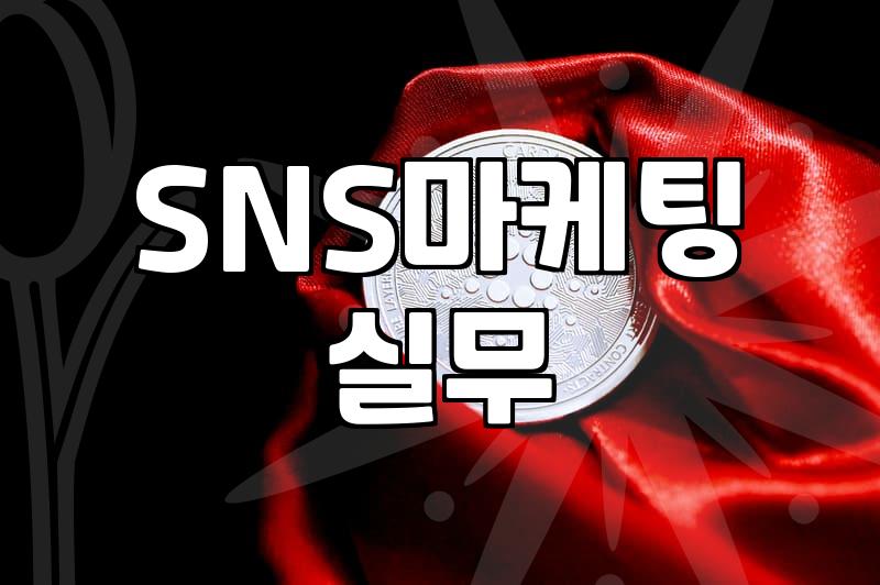 실무에서 체감하는 요즘 SNS 마케팅의 흐름과 현실적인 접근법