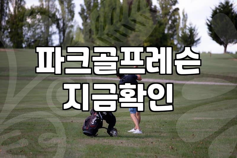 스크린 파크골프, 무작정 시작하기 전에 알아야 할 솔직한 현실