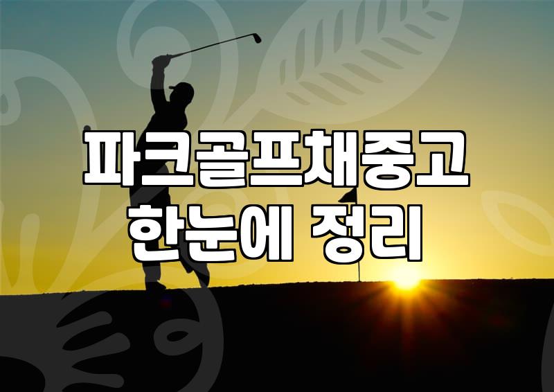 피닉스파크골프채 중고 고민과 입문의 현실적인 문턱