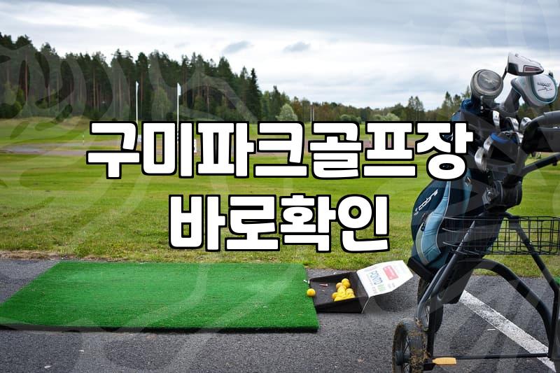 잔디보호매트 위에서 하염없이 대기하다가 돌아왔다