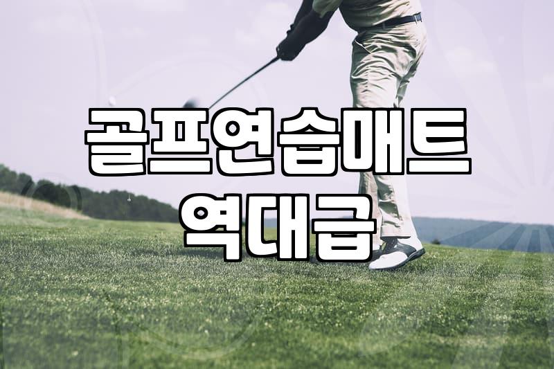 집에서 실내 골프 연습 매트를 쓸 때 고려해야 할 현실적인 문제들