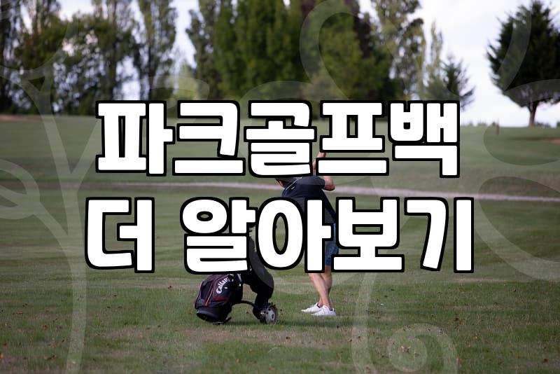 파크골프채가방 고를 때 무게와 수납공간을 결정하는 기준