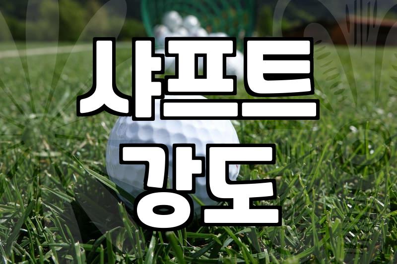 입문자가 후회 없는 골프용품세트 구성을 위해 꼭 따져봐야 할 조건