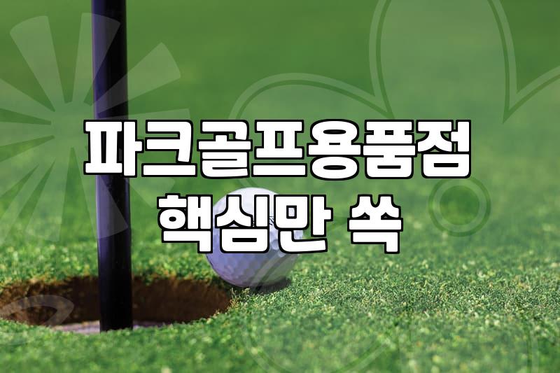 파크골프가방 선택 시 고려할 실질적 사이즈와 수납 기준