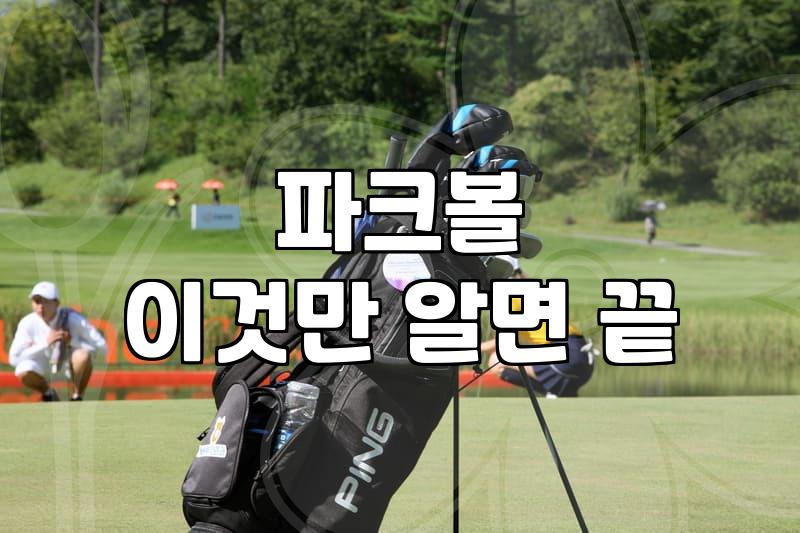 피닉스파크골프용품 선택할 때 꼭 따져봐야 할 세 가지