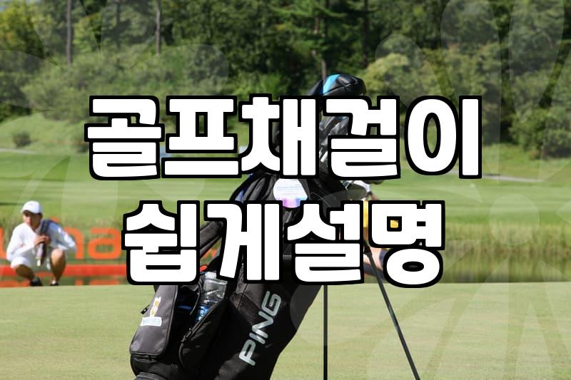 집에서 골프채 깔끔하게 보관하는 현실적인 방법