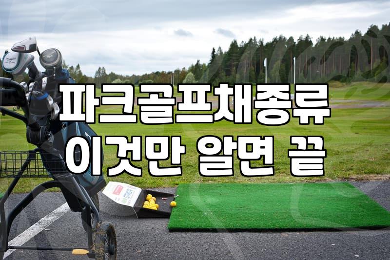입문용 파크골프채 고를 때 후회 없는 선택 기준과 브랜드별 특징