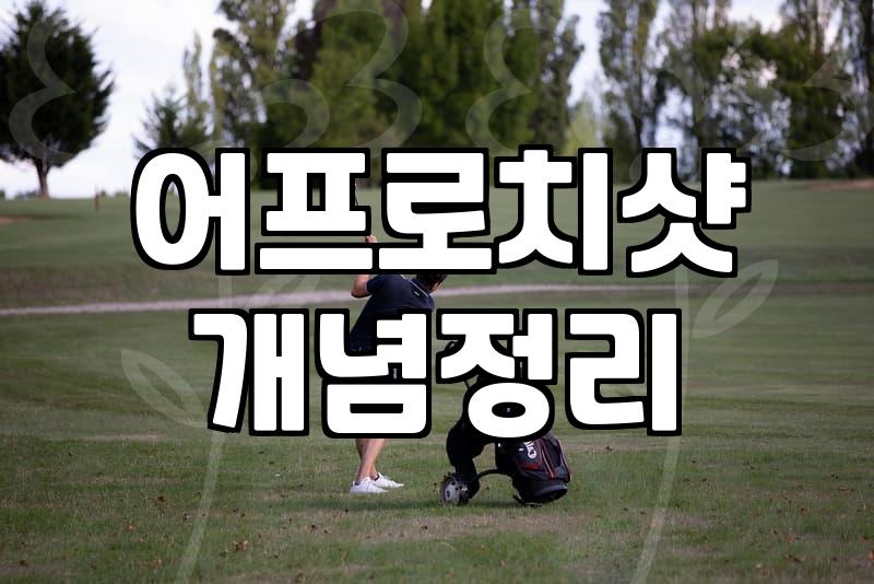 파크골프 숏게임, 이렇게 실력을 늘릴 수 있어요