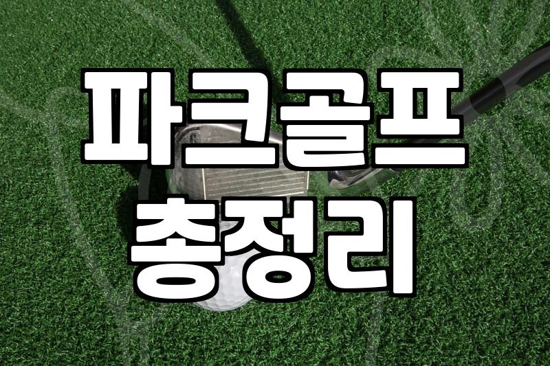 파크골프 동호인이 하드코트 경기 운영과 부상 방지에 대해 알아야 할 점