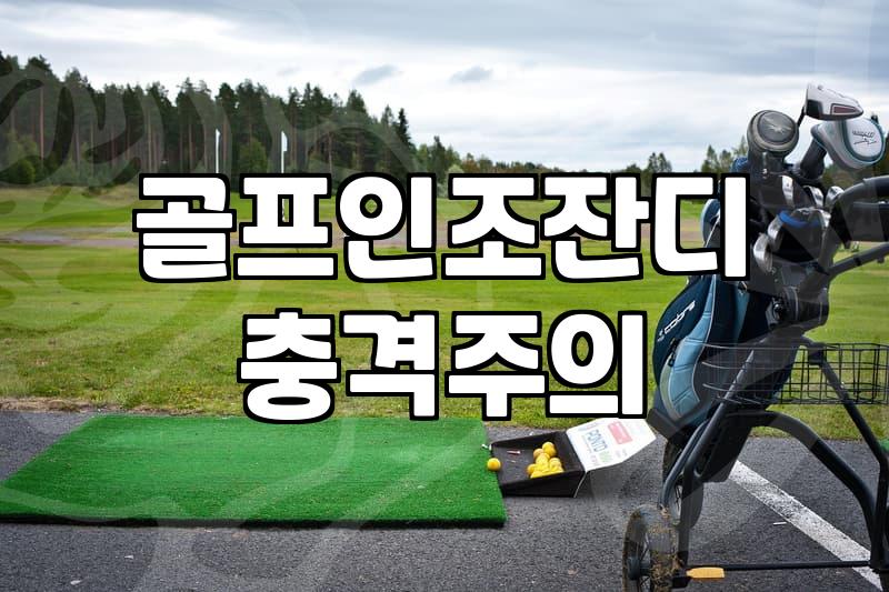 마당에 깔아본 골프인조잔디, 현실적인 설치 비용과 예상외의 관리 포인트