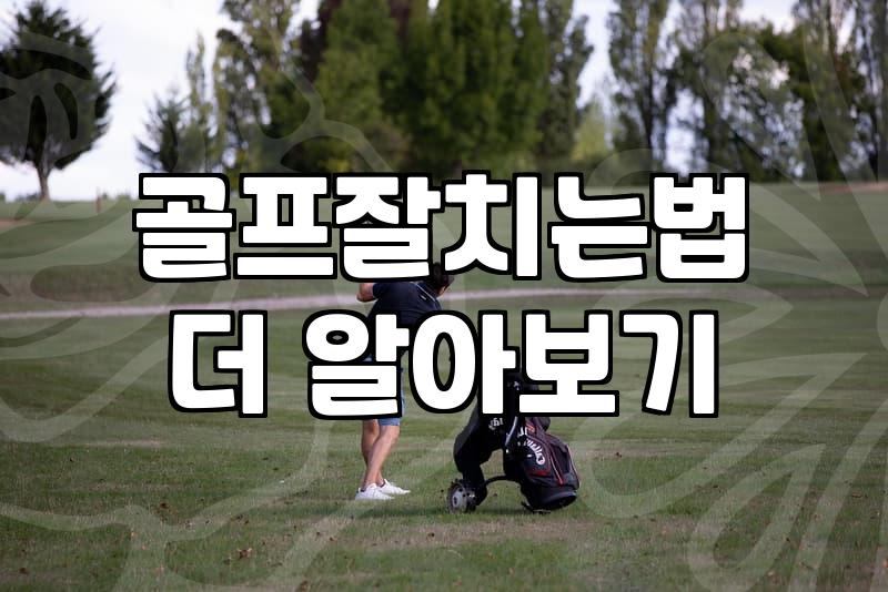 나도 드라이버 멀리 치고 싶다? 스크린골프 몇 번 치고 깨달은 현실적인 조언