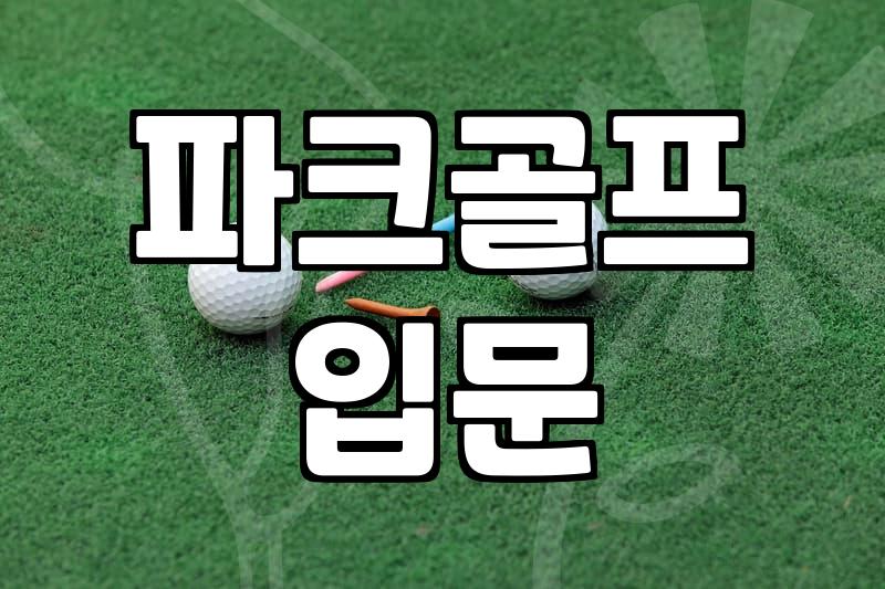 파크골프공 무게와 지름 규격 및 선택 기준