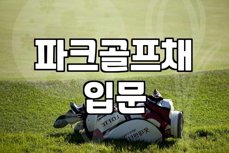 처음 파크골프채 고를 때 알아두면 좋은 점들