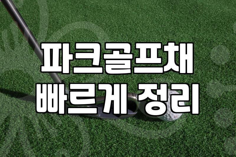 파크골프, 쉽지만은 않은 도전? 이것만은 알고 시작하자