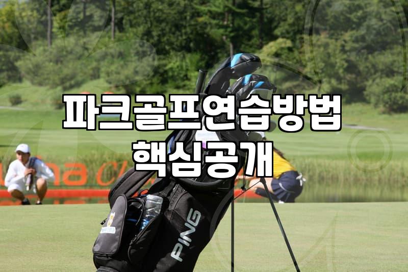 파크골프, 실내 연습? 이거 좀 고민되더라고요.