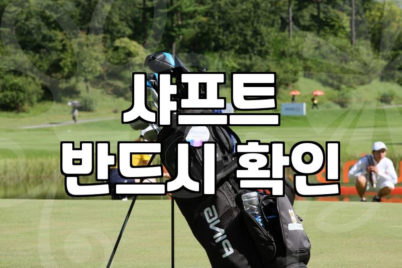 나에게 맞는 파크골프채 고르는 법