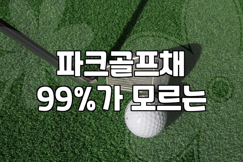 파크골프채를 고르다가 유튜브 영상만 세 시간째 보고 있다