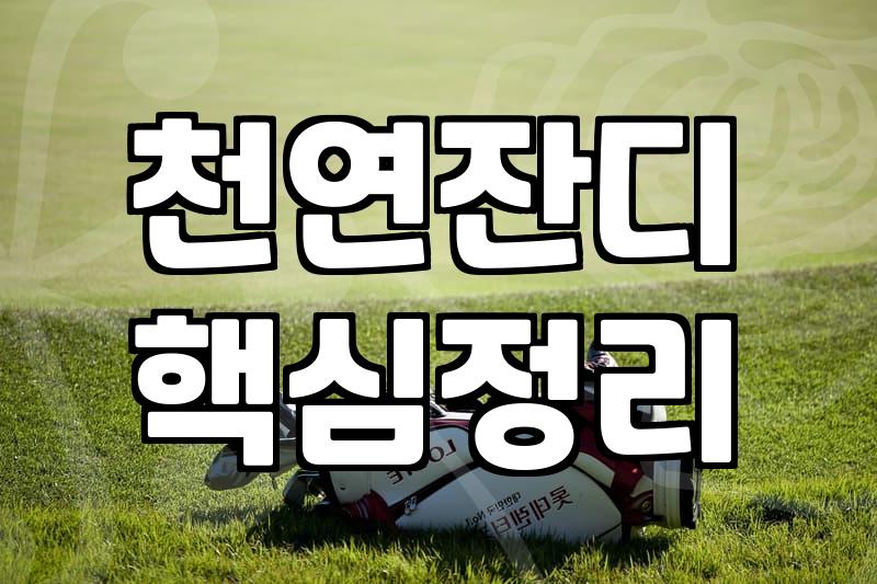 파크골프장 이용 요금과 예약 방식을 결정하는 기준