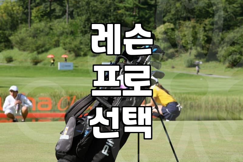 골프레슨비, 정말 그 값어치를 할까? 꼼꼼한 비교 가이드