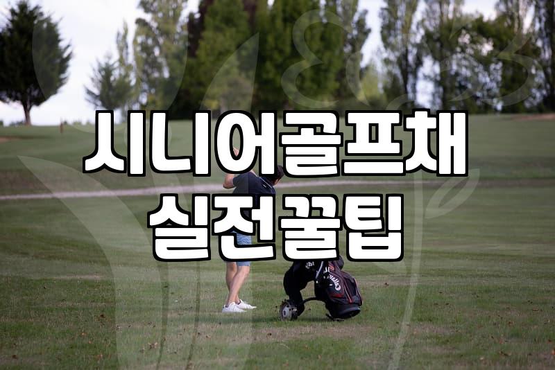 파크골프채중고 거래 시 성능과 상태를 확인하는 구체적 방법
