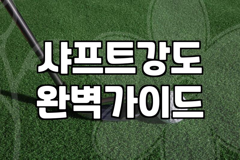 파크골프채판테온 선택 전 고려해야 할 실질적인 기준
